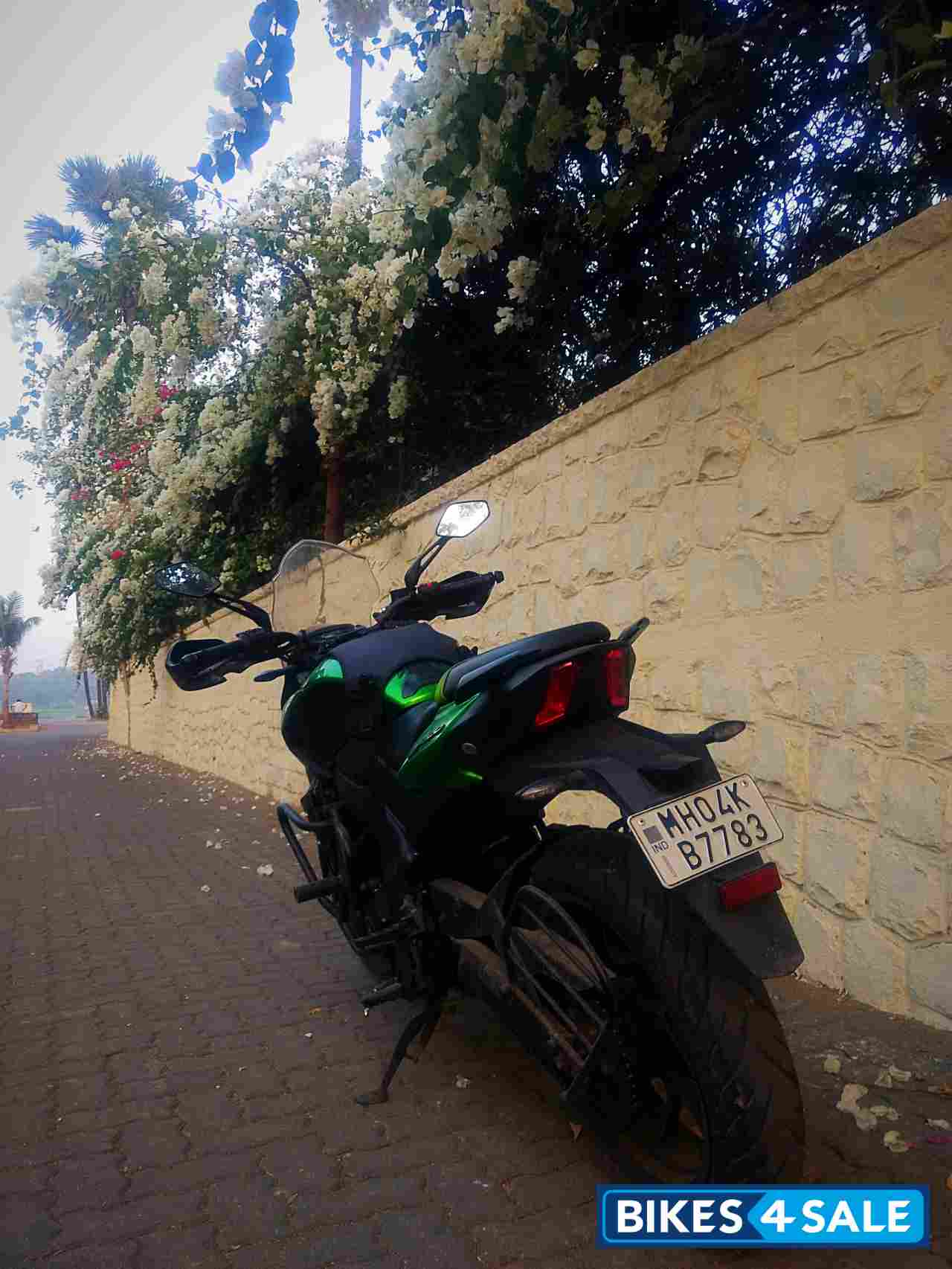 Green Bajaj Dominar DOMINAR 400 UG