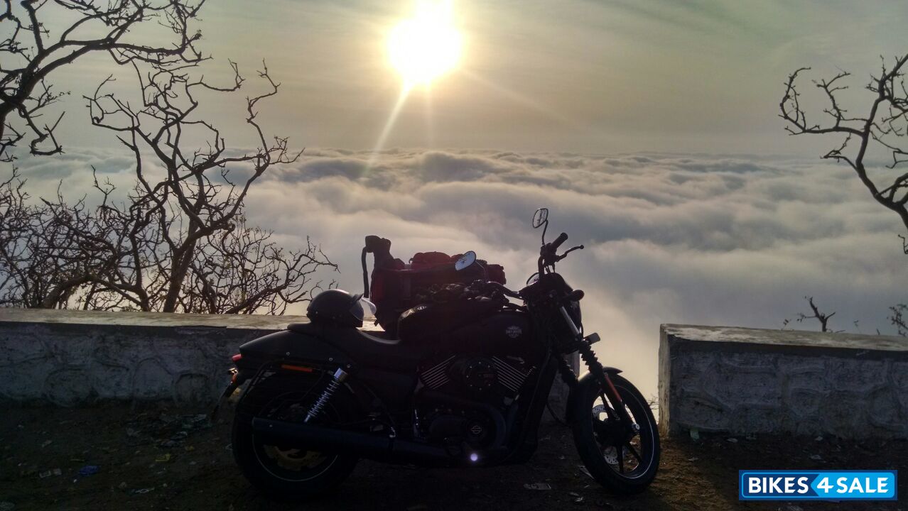 Denim Matt Black Harley Davidson Street 750