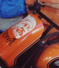 UM Renegade Sports S