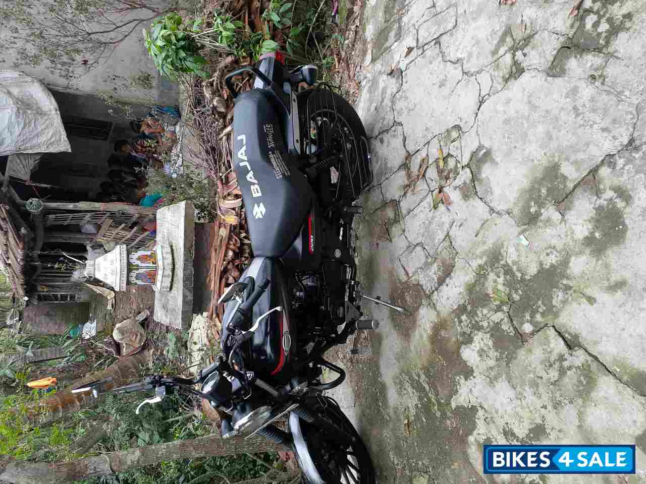 Bajaj Avenger Street 220