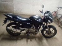 Bajaj Pulsar 150 DTSi 2008 Model