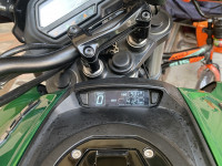 Aurora Green Bajaj Dominar 2019 UG