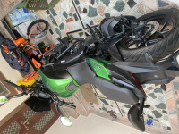 Aurora Green Bajaj Dominar 2019 UG