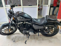 Harley Davidson Iron 883 2015 Model