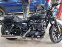 Harley Davidson Iron 883