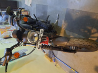 Harley Davidson Iron 883