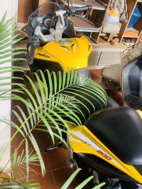 Yellow Bajaj Pulsar RS 200