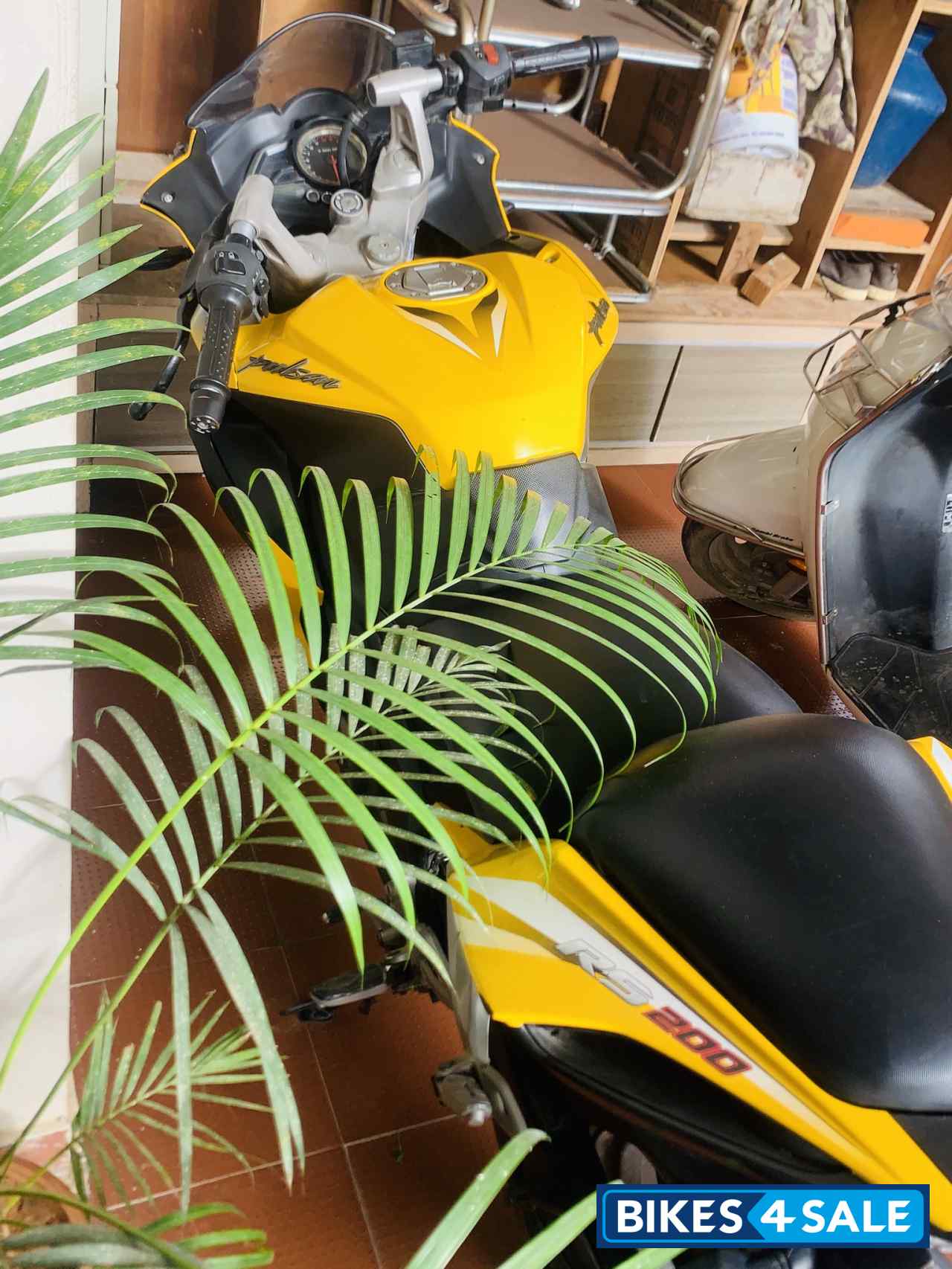Yellow Bajaj Pulsar RS 200