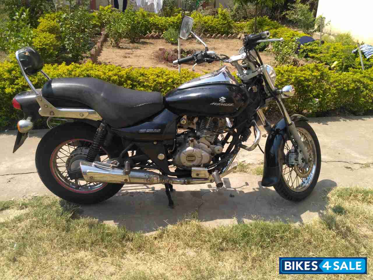 Bajaj Avenger 220 DTS-i