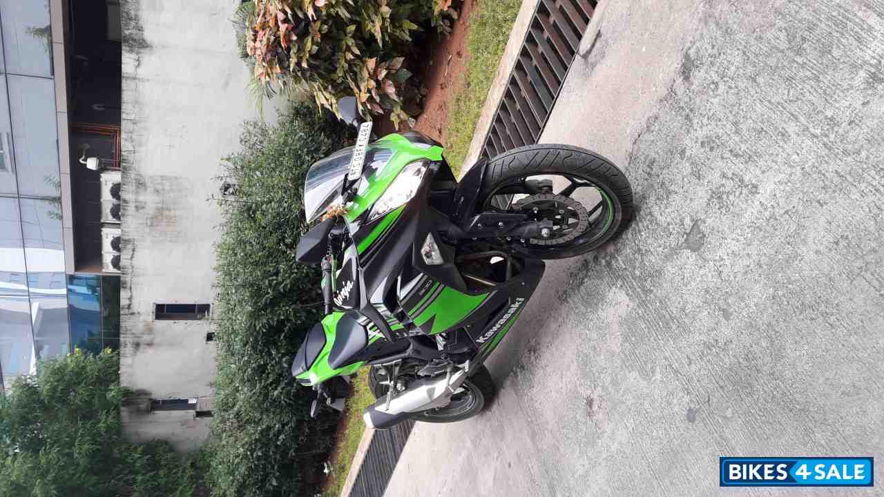 Green And Black Kawasaki Ninja 300R