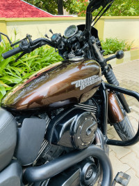 Raw Hide Premium Colour Harley Davidson Street 750