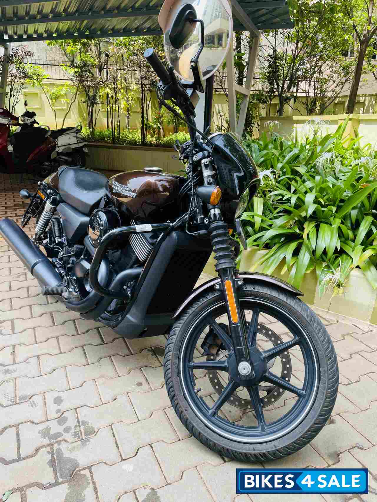 Raw Hide Premium Colour Harley Davidson Street 750