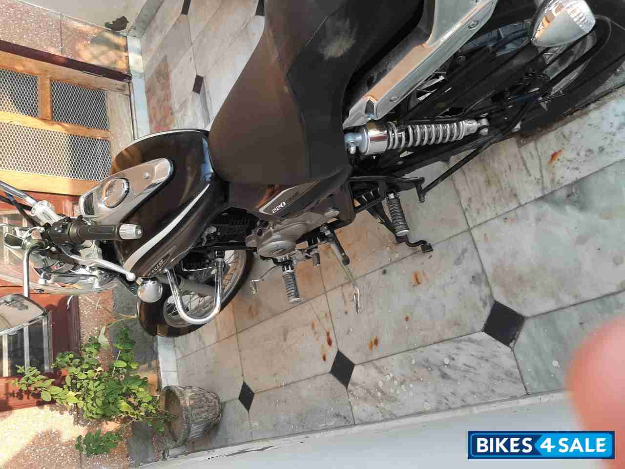 Auburn Black Bajaj Avenger Cruise 220