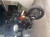 Red / Black Benelli Leoncino