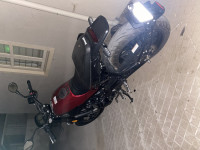 Red / Black Benelli Leoncino