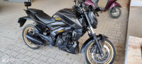 Rock Matt Black Bajaj Dominar 400 ABS BS6