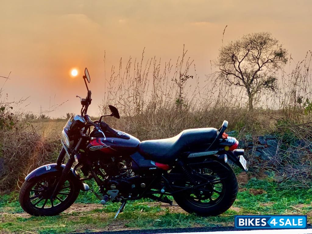 Bajaj Avenger Street 220 Bajaj Avenger Street 220