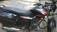 Black Bajaj Discover 100