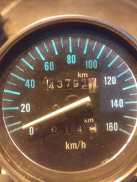 Bajaj Avenger 220 DTS-i