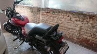 Spicy Red Bajaj Avenger Street 160