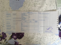 Bajaj Avenger 220 DTS-i