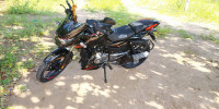 Bajaj Pulsar 125 Split Seat 2020 Model