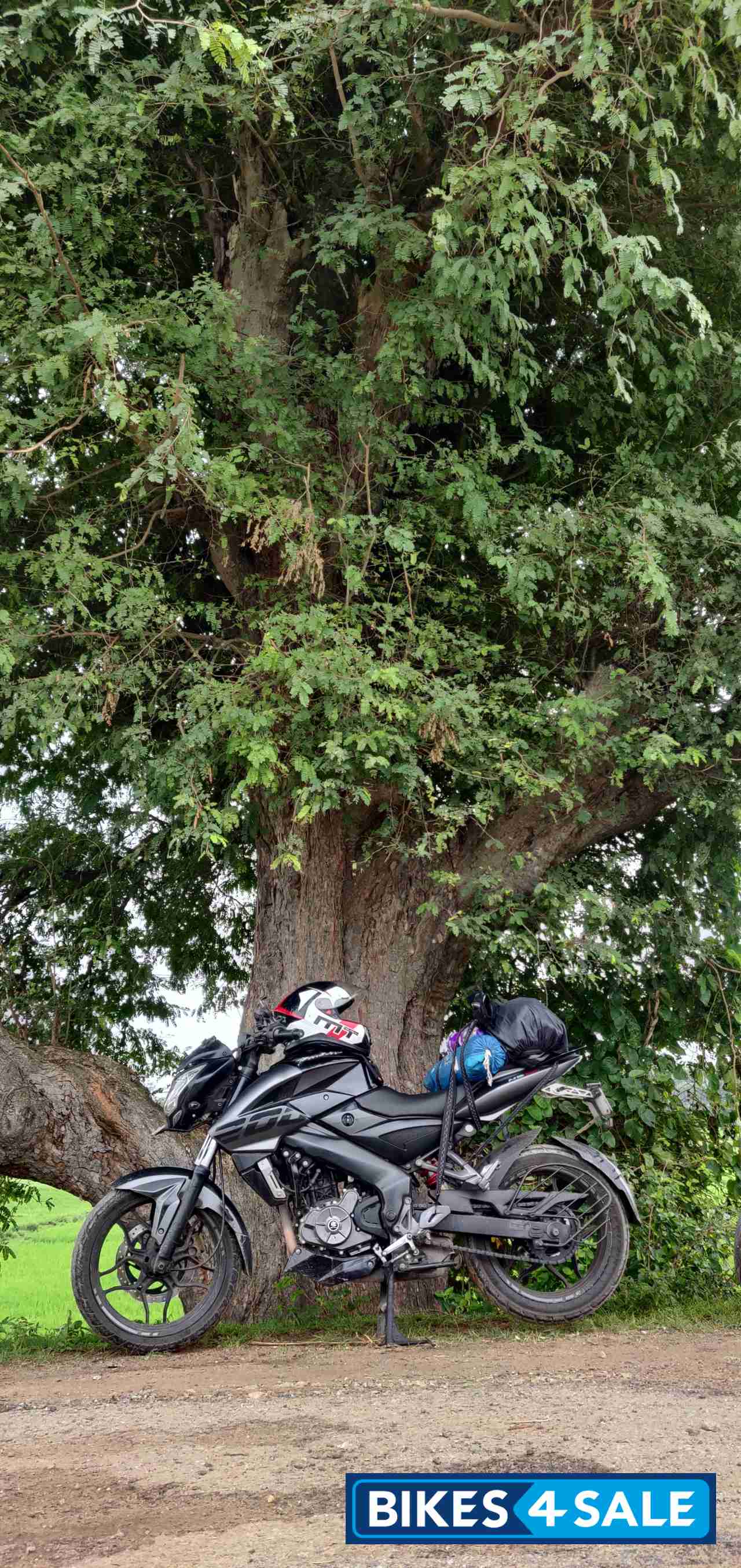 Sparkling Bajaj Pulsar 200 NS