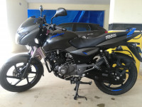 Gray & Blue Bajaj Pulsar 125 Neon