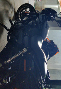 Harley Davidson Street 750 2019 Model