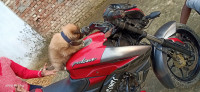 Red Bajaj Pulsar 200 NS