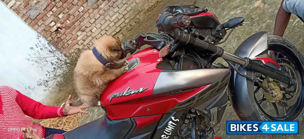 Red Bajaj Pulsar 200 NS