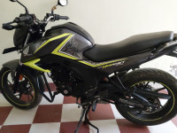 Matt Striking Green Honda CB Hornet 160R