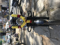 Bajaj Avenger Street 220 2017 Model
