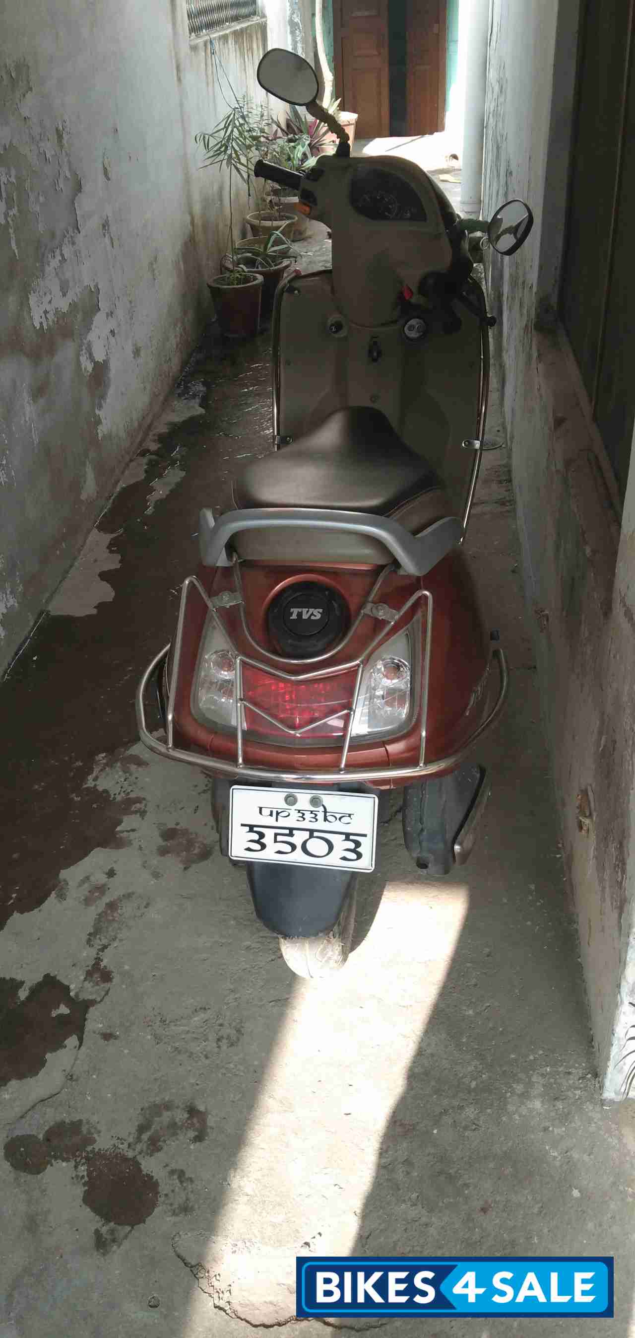 Stallion Brown TVS Jupiter ZX