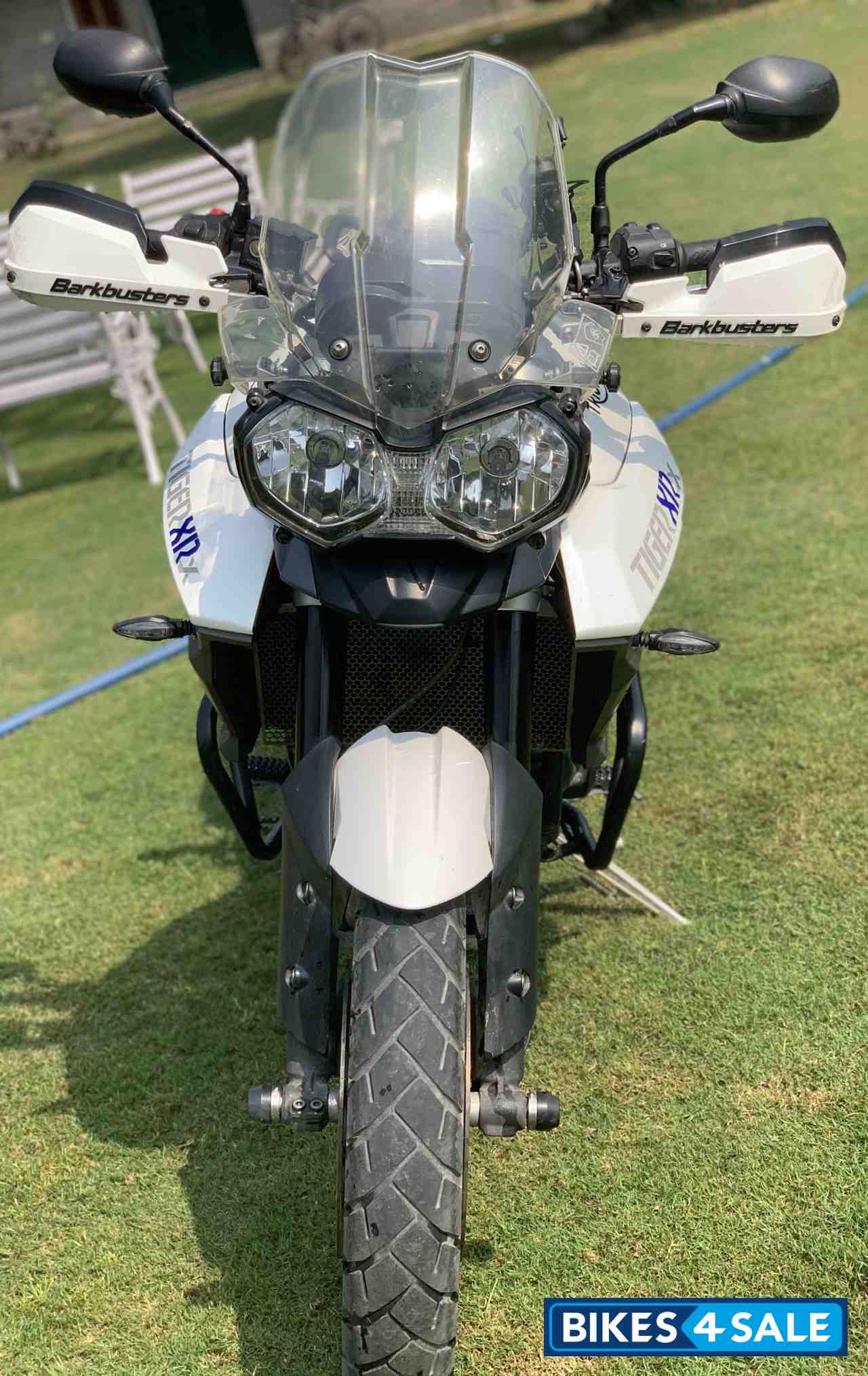 White Triumph Tiger 800 XRx