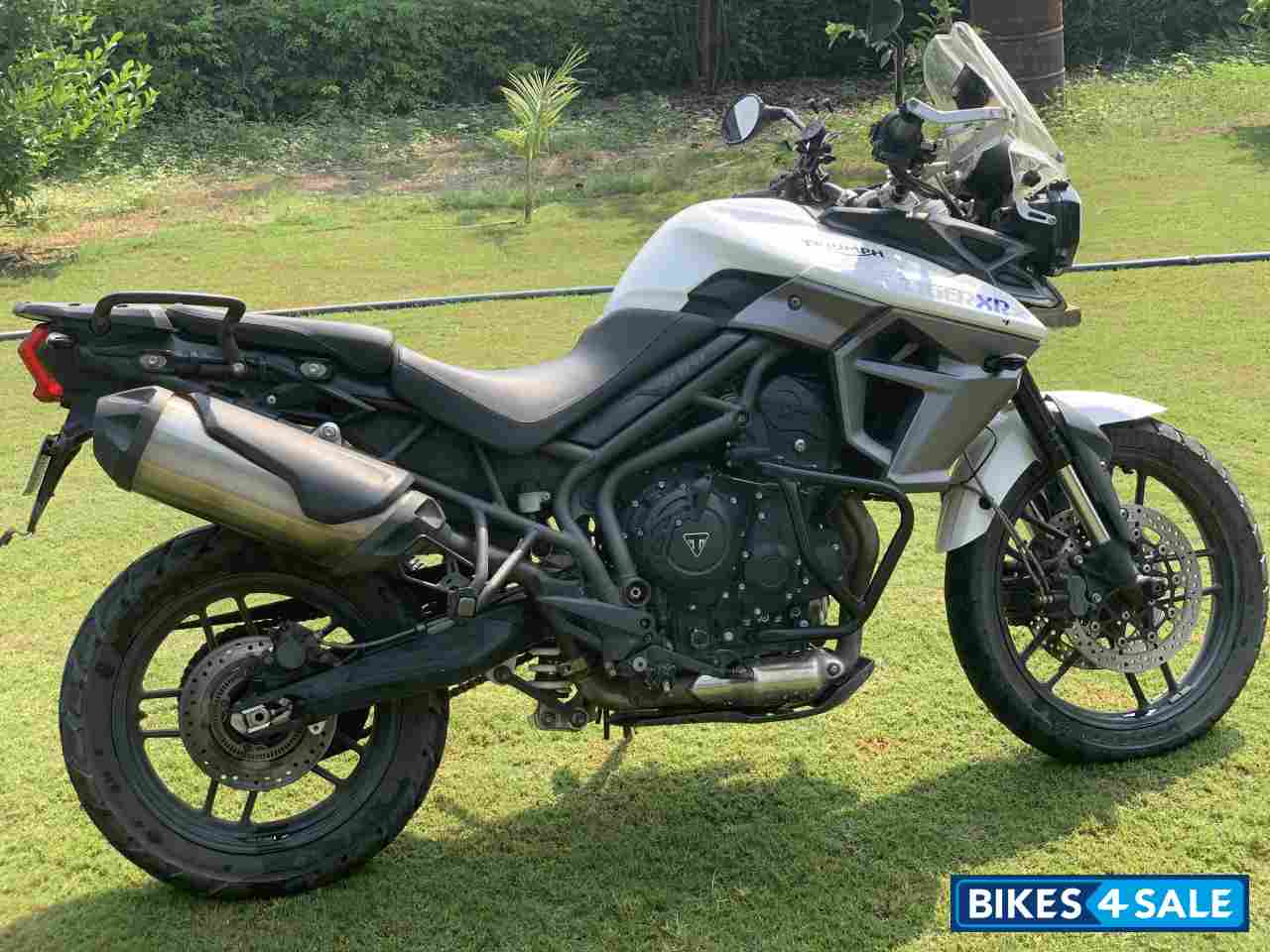 White Triumph Tiger 800 XRx