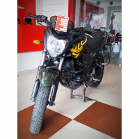 Yamaha FZ-S 2014 Model