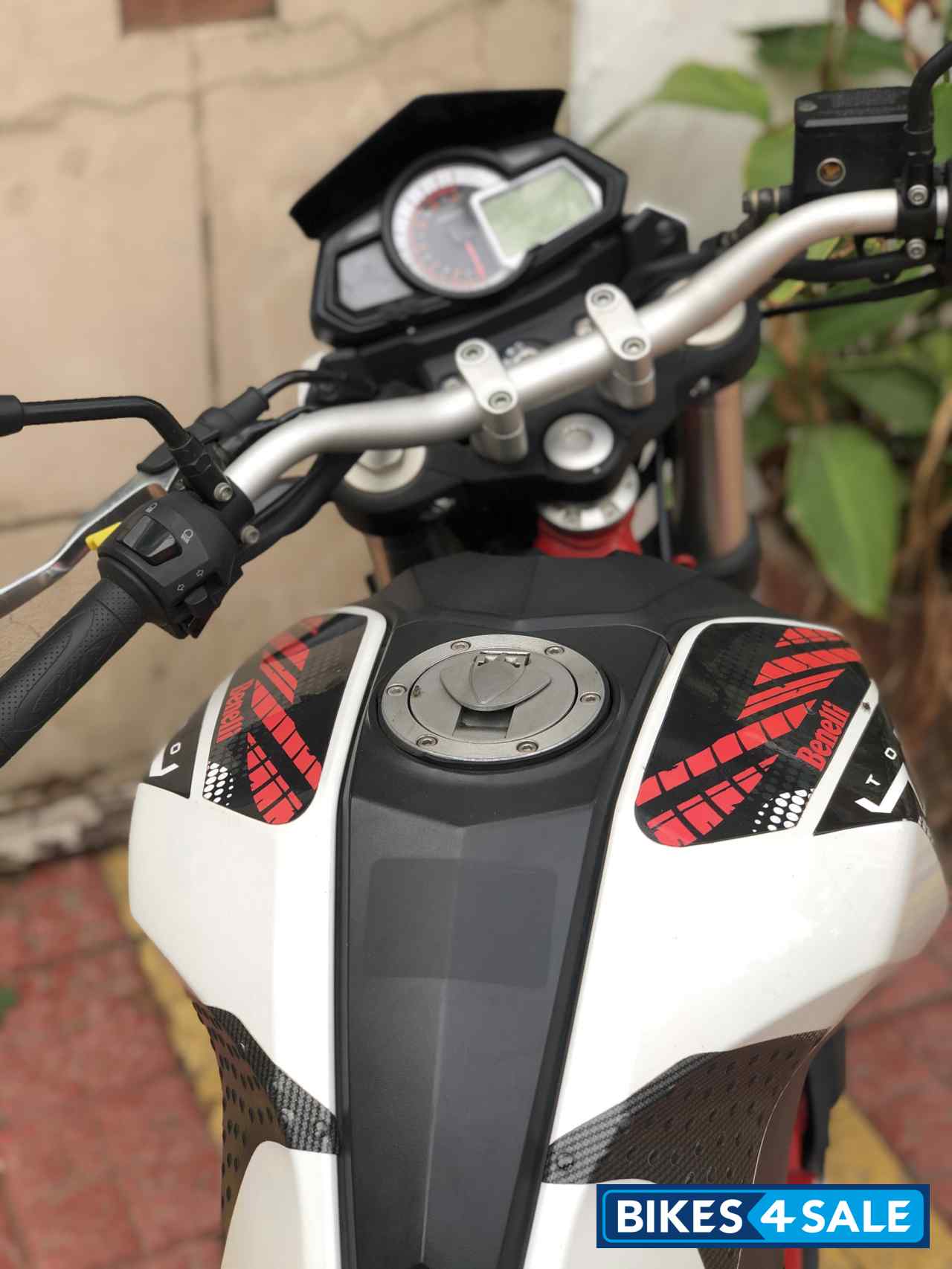 Limited Edition Benelli TNT 25