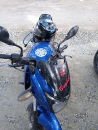 Blue Bajaj Pulsar 150 DTSi