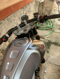 FB Mondial Hipster 2019 Model