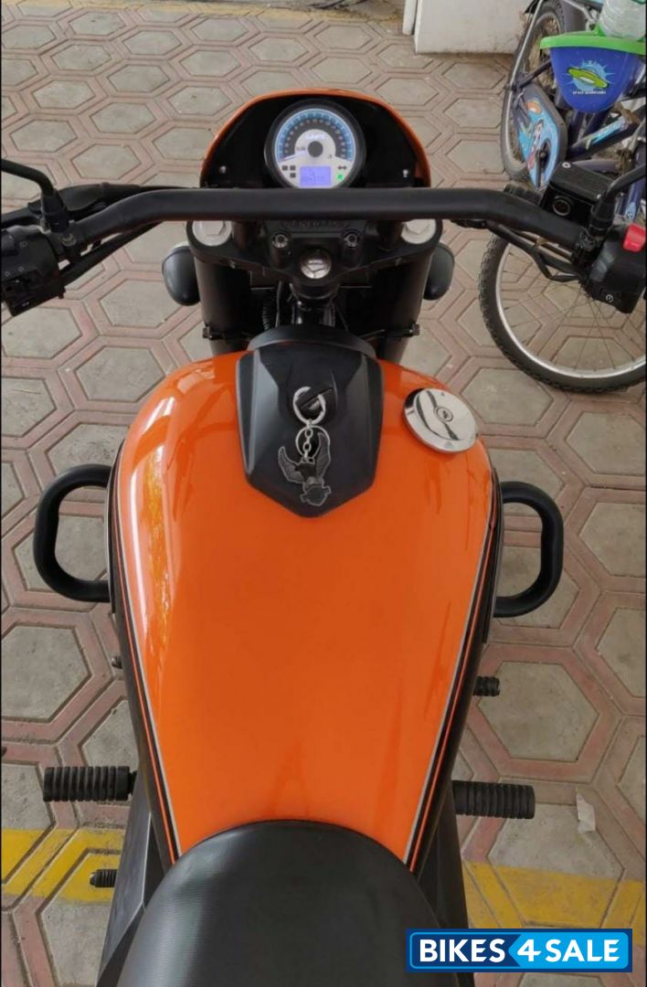 UM Renegade Sports S