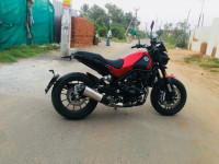 Red Benelli Leoncino