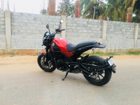 Red Benelli Leoncino