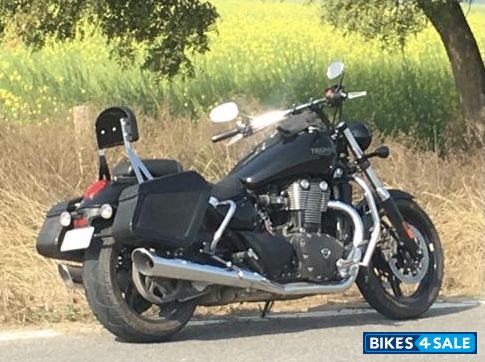 Black Triumph Thunderbird Storm