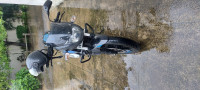 Bajaj Pulsar 150 Twin Disc