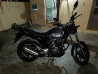 Matte Grey Hero XPulse 200T