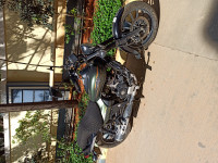 Bajaj Avenger Street 220 2017 Model