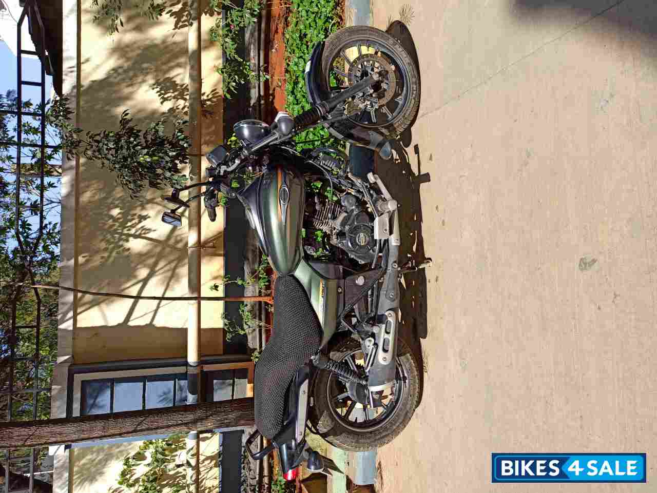 Green Bajaj Avenger Street 220