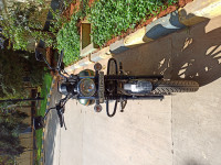 Green Bajaj Avenger Street 220