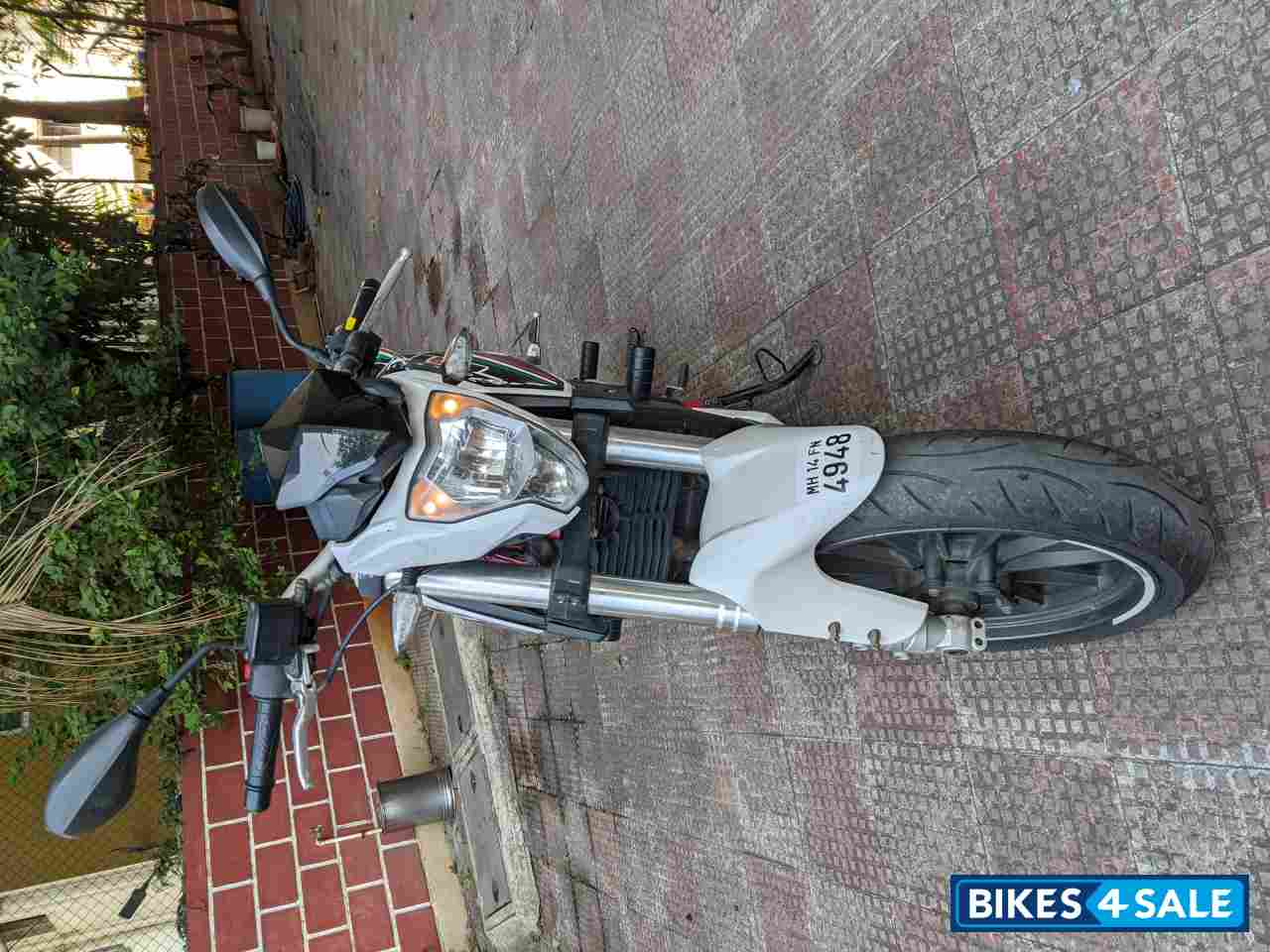 White Benelli TNT 25